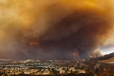Surviving Wildfires: Essential Tips for Staying Safe When There's a Fire Nearby
