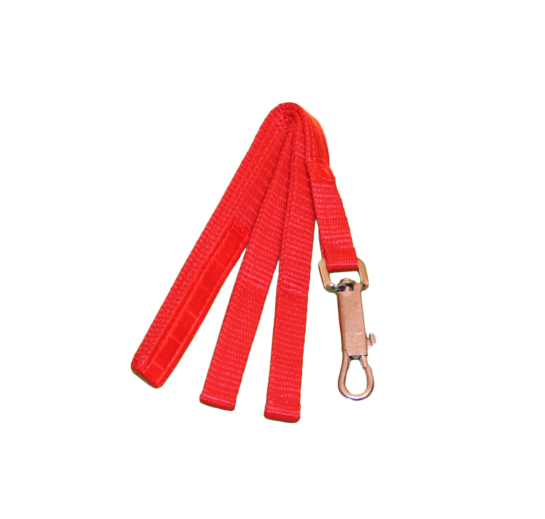 Reflective pet leash for dogs and cats. Pet leash for disasters and evacuation during urban unrest and riots.