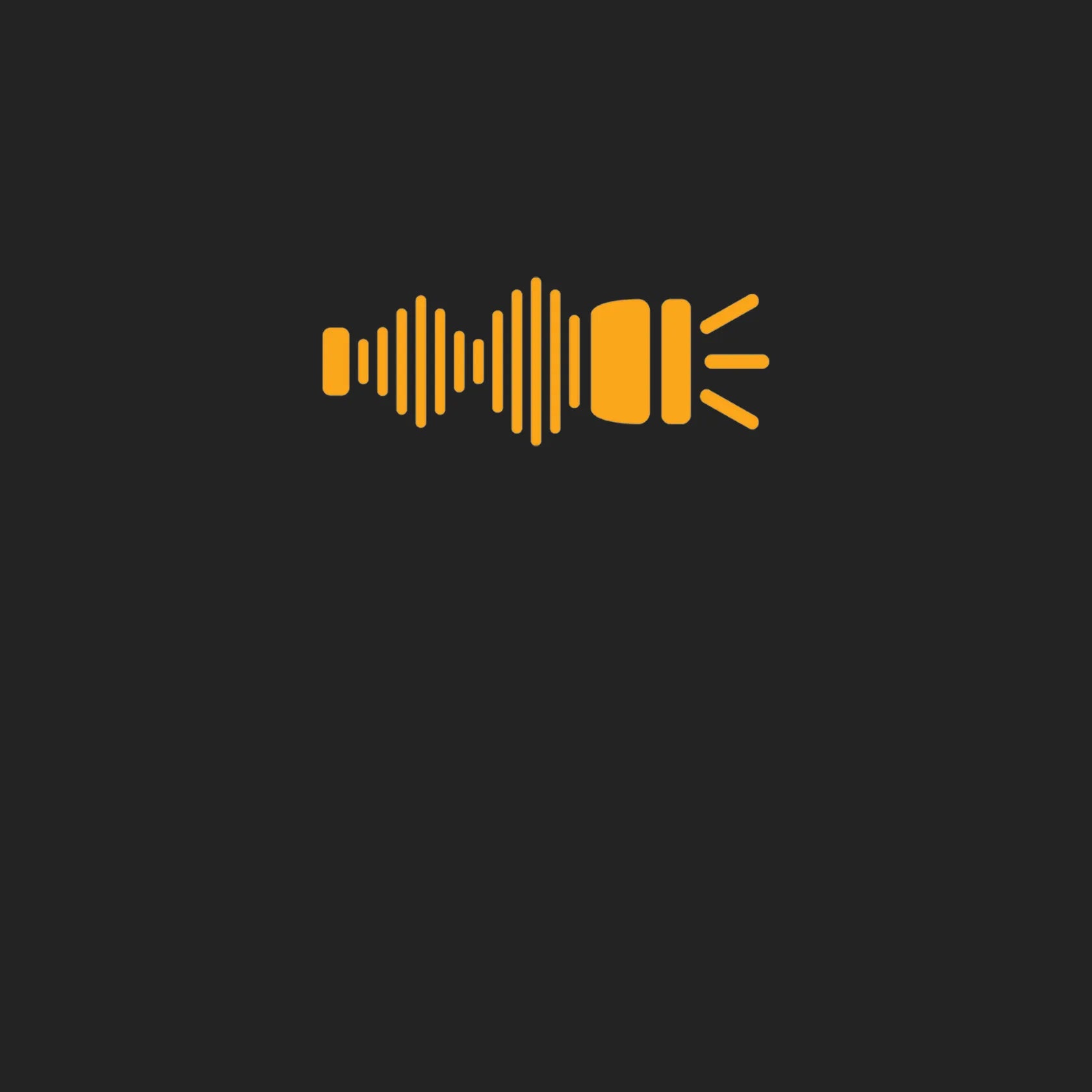 Icon for light and emergency communication. Category for NOAA radios, solar lanterns, emergency lighting, blackout supplies, plasma lighters. Tools for natural disasters and earthquakes.