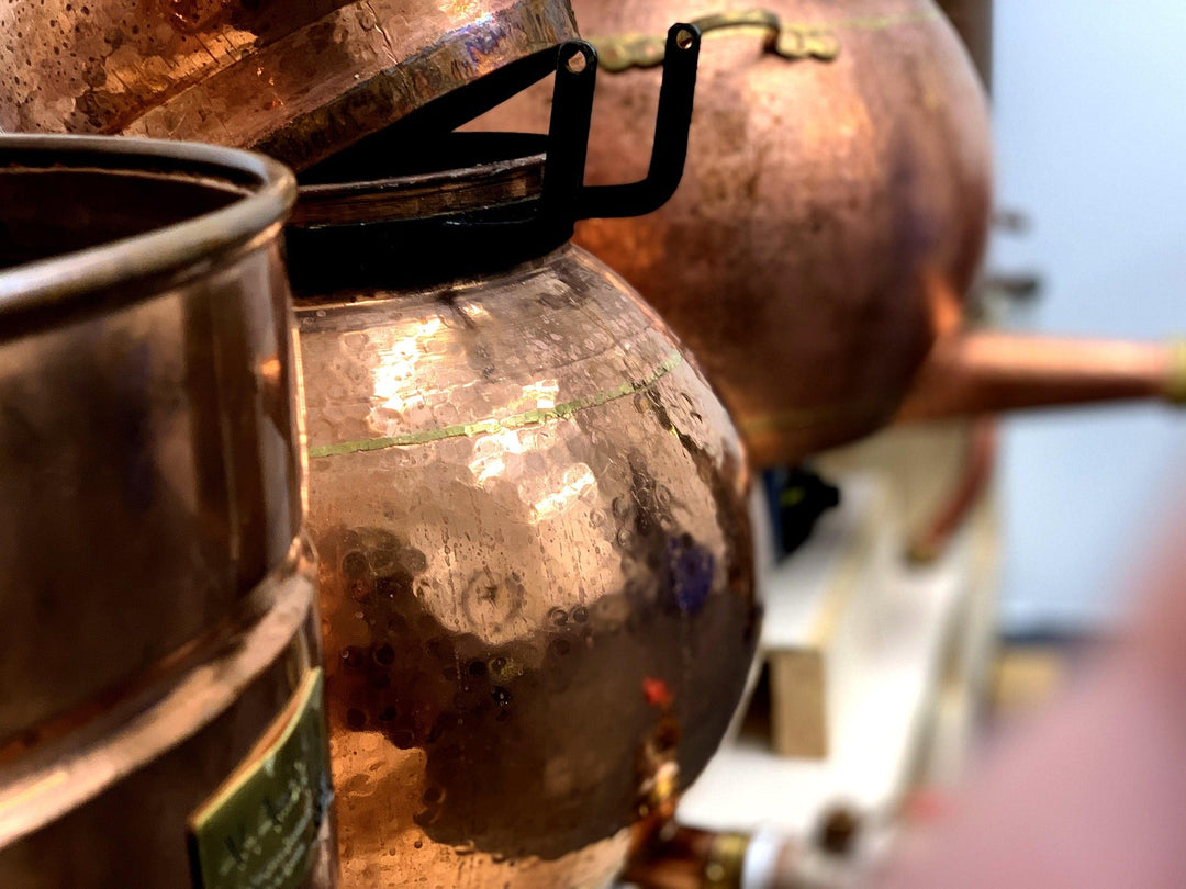 When Every Drop Counts: The Power of Distillation in Survival