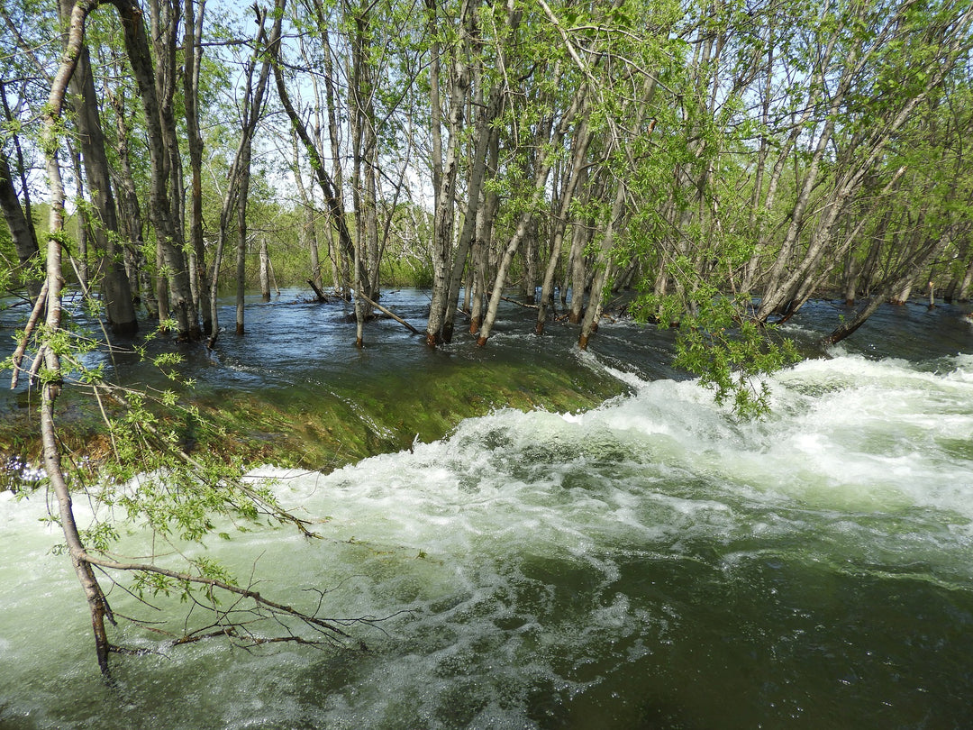 Flash Flood Awareness: Stay Safe and Prepared