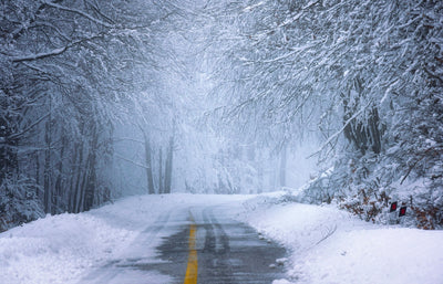 Black Ice, Tree Wells, and Other Hidden Winter Dangers