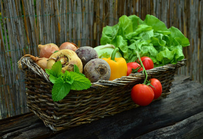 Garden to Table: How to Grow a Garden and Prepare Food for Long-Term Storage