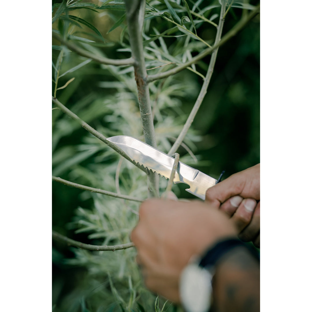 Survival knife cutting tree limb