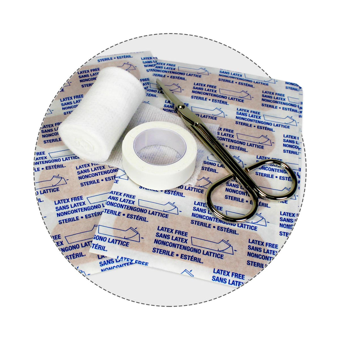 Bulk Urgent First Aid Kit, Plastic, 209pc, ANSI B, 50 Person