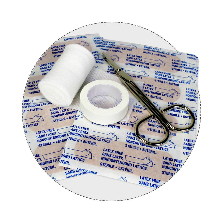 Bulk Urgent First Aid Kit, Plastic, 209pc, ANSI B, 50 Person