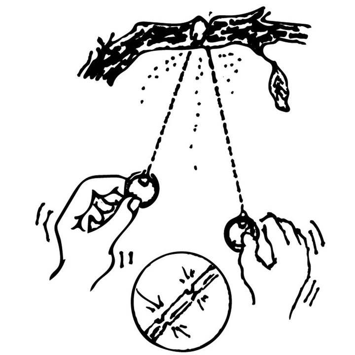 How to use a wire saw graphic