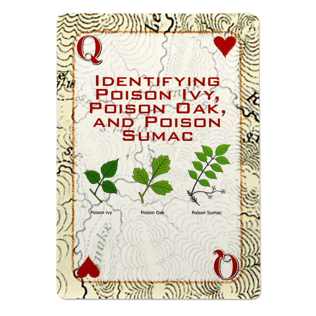 Playing cards with emergency tips, identifying poisonous plants 