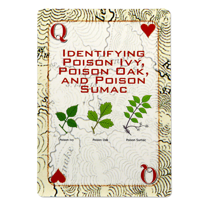 Playing cards with emergency tips, identifying poisonous plants 